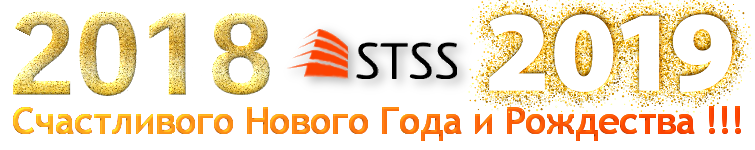 С Новым 2019 Годом и Рождеством !!!